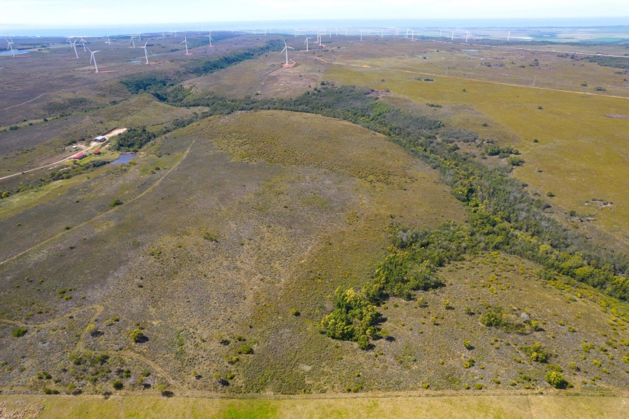 0 Bedroom Property for Sale in Humansdorp Rural Eastern Cape